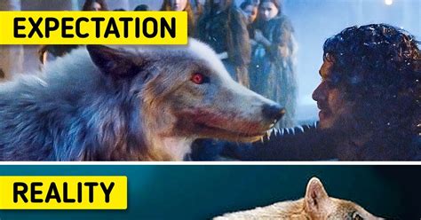 7 Fantastic Beasts That Actually Exist Bright Side 7 Fantastic Beasts That Actually Exist Bright Side