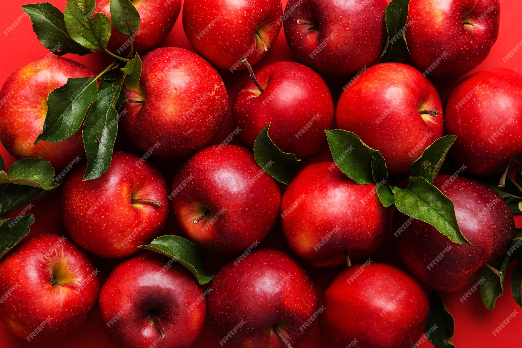 Apples To Apples Card Game Fun Apples To Apples Card Game Fun