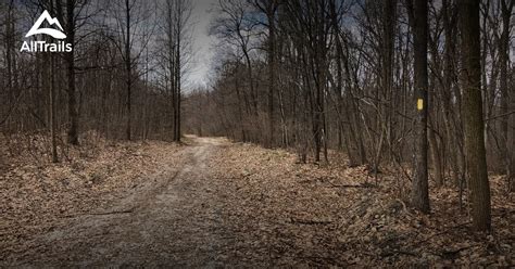 Best Trails In State Game Lands Number 145 Pennsylvania Alltrails Best Trails In State Game Lands Number 145 Pennsylvania Alltrails