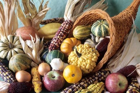 Cornucopia of Abundance