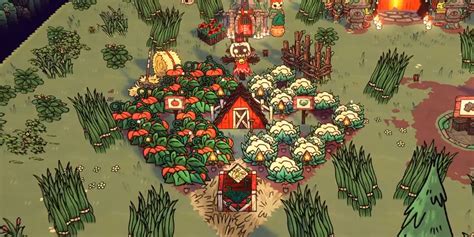 Cult Of The Lamb Farm Layout Tips Cult Of The Lamb Farm Layout Tips
