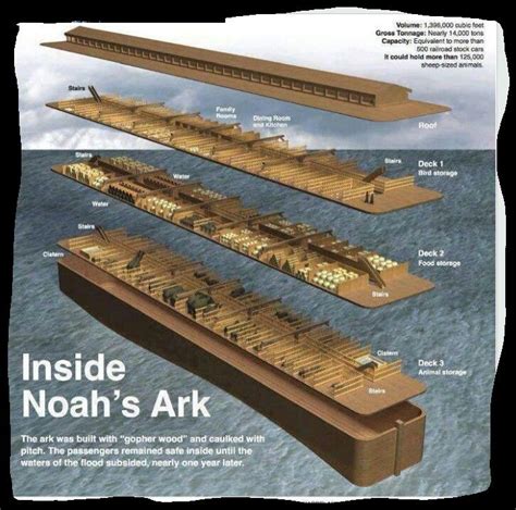 Diagram Diagram Of Noahs Ark Wiringschema Com Diagram Diagram Of Noahs Ark Wiringschema Com