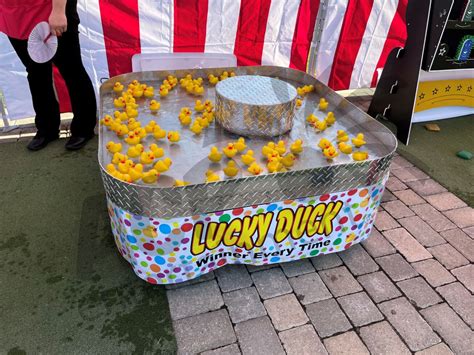 5 Duck Pond Games