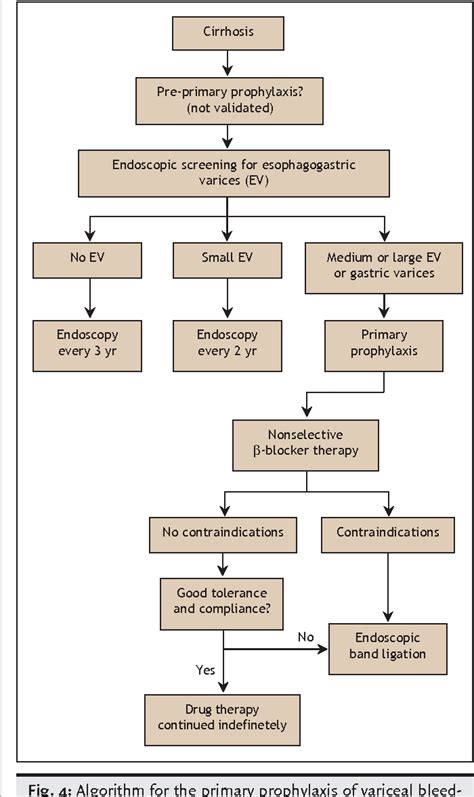 Figure 4 From Current Management Of The Complications Of Portal Figure 4 From Current Management Of The Complications Of Portal
