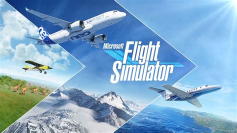 Flight Simulator Experience