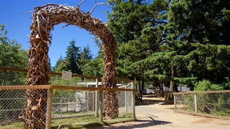 5 Game Park Safari Tips