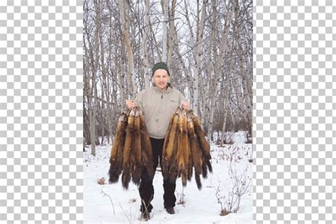 Grizzly Creek Lodge Trapline Trapping Fur Fishing Png Clipart Fishing Freezing Fur Fur Grizzly Creek Lodge Trapline Trapping Fur Fishing Png Clipart Fishing Freezing Fur Fur
