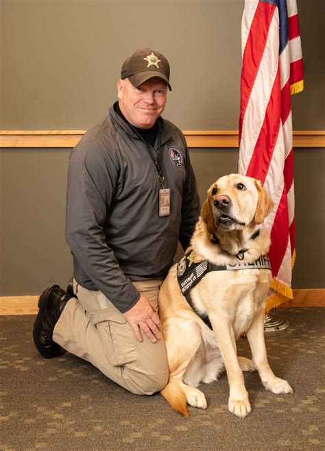 Hero Animals New Hampshire Magazine