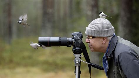 How To Bird Watch A First Timer S Guide Advnture How To Bird Watch A First Timer S Guide Advnture