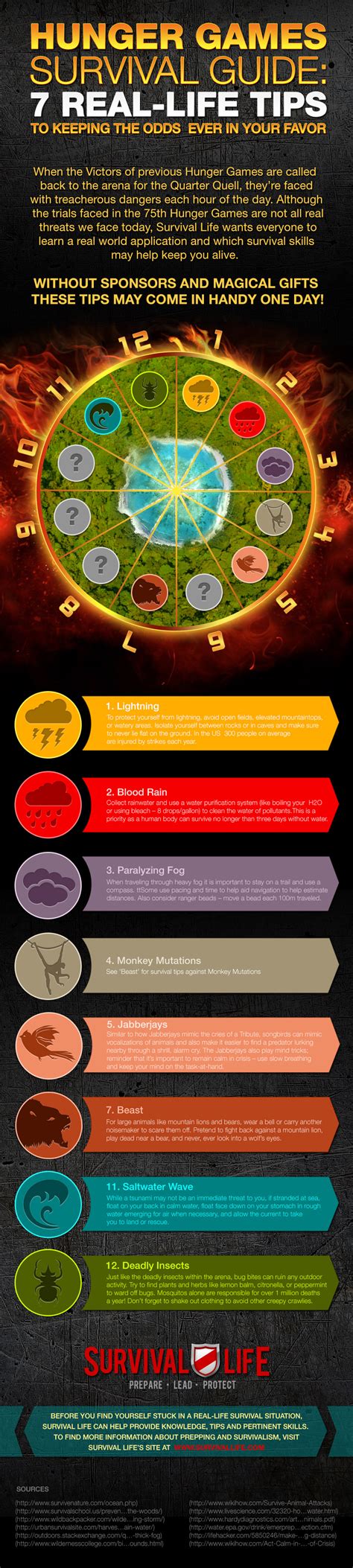 Hunger Games Survival Guide May The Odds Be Ever In Your Favor Hunger Games Survival Guide May The Odds Be Ever In Your Favor
