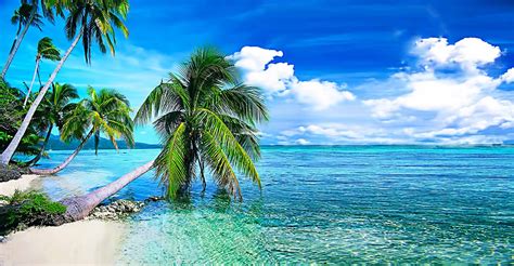 Living Wallpaper for PC