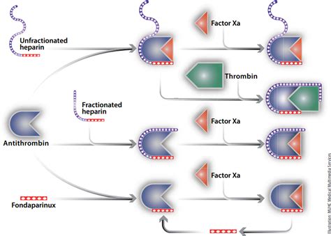 5 Mechanism Tips