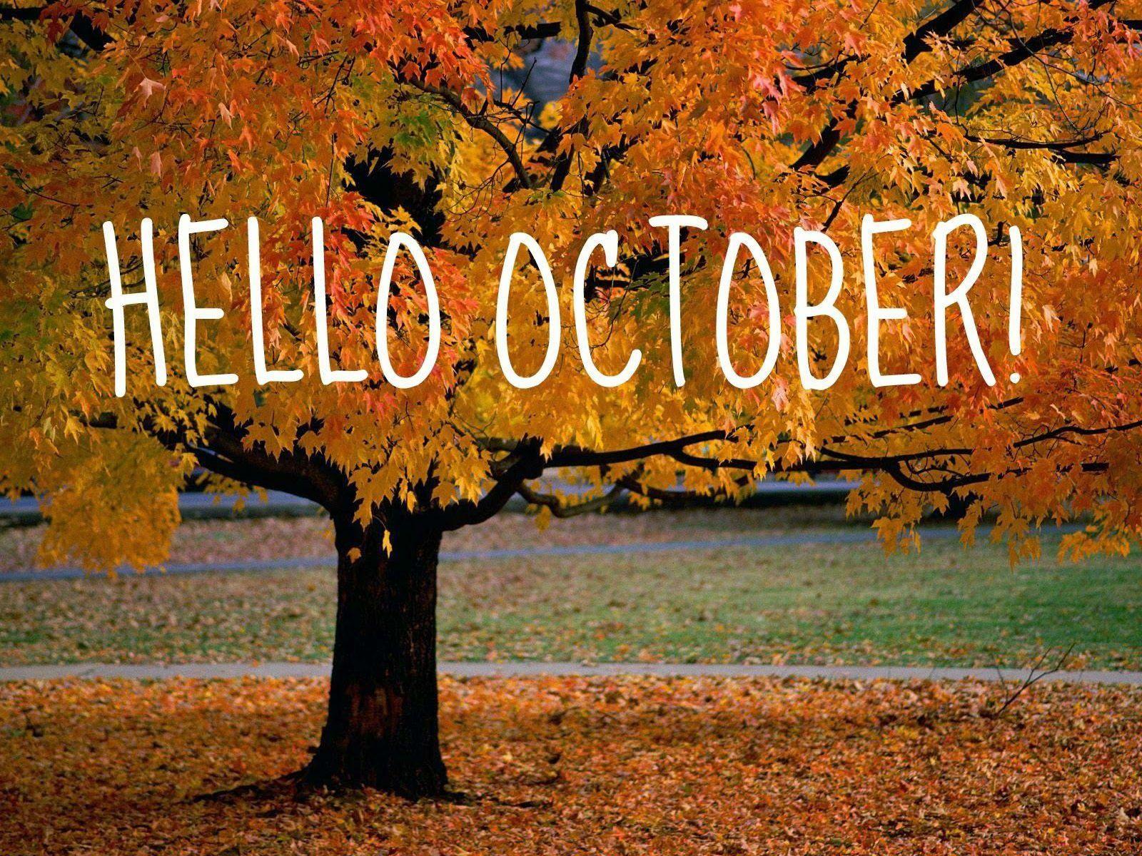 October 26Th 2020 The Billy Madison Show Podcast October 26Th 2020 The Billy Madison Show Podcast