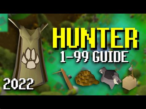 Osrs Hunter Training Guide 2022 The Best Methods To Reach Level 99 Osrs Hunter Training Guide 2022 The Best Methods To Reach Level 99