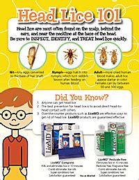 Parent Lice Handout With Instructions On How To Clear Head And Home Of Parent Lice Handout With Instructions On How To Clear Head And Home Of