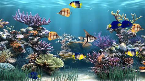 PC Moving Backgrounds Wallpapers PC Moving Backgrounds Wallpapers