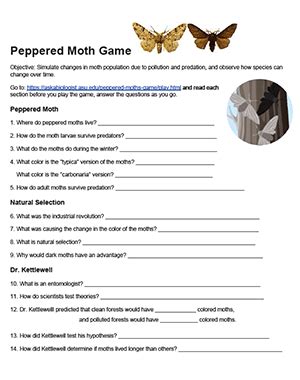 Peppered Moth Game Evolution