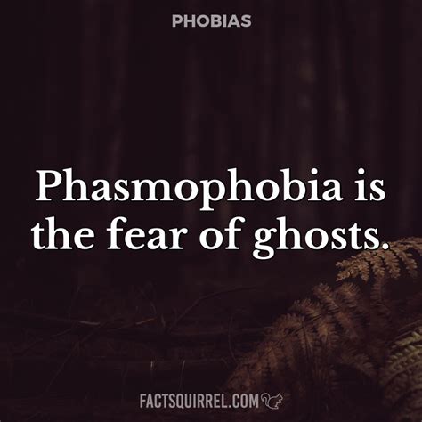 Phasmophobia Is The Fear Of Ghosts Factsquirrel Phasmophobia Is The Fear Of Ghosts Factsquirrel