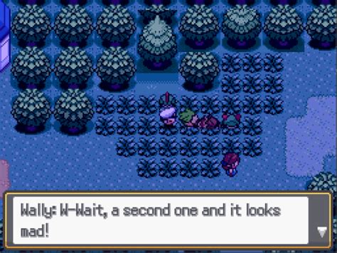 5 Pokémon Pron Tips