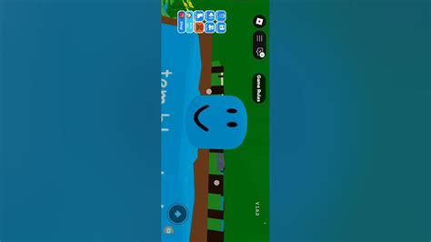 5 Roblox Problems