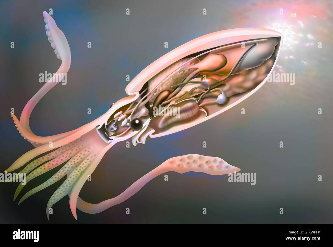 Squid Game Gi Hun And The Front Man S Relationship Explained Squid Game Gi Hun And The Front Man S Relationship Explained