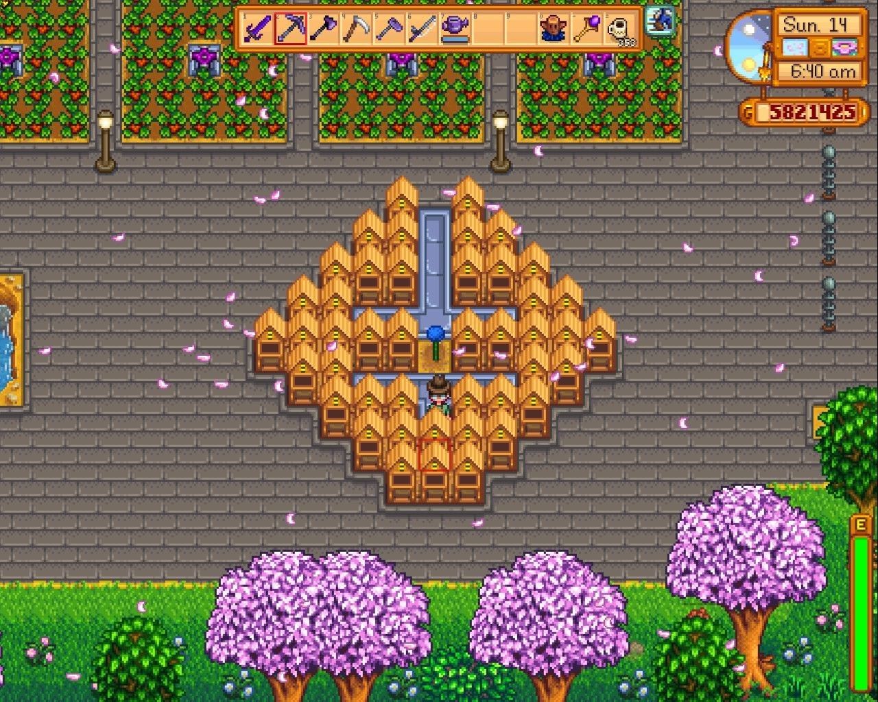 5 Stardew Tips