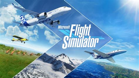 5 Tips MS Flight Simulator