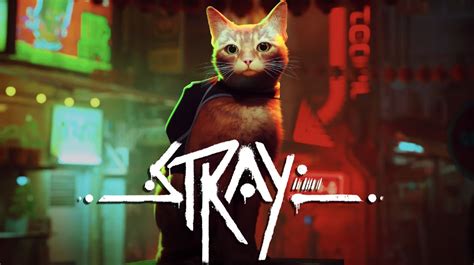 Stray Game Review