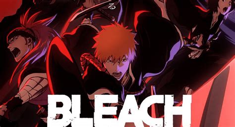 Stream Bleach Safety Guide