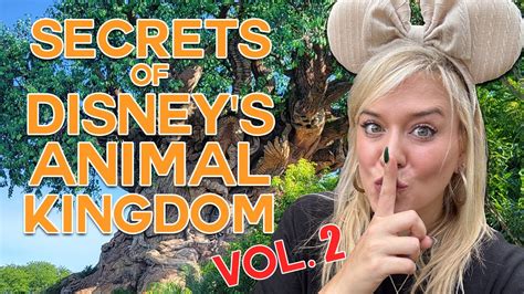 The Best Kept Secrets Of Disney World Animal Kingdom Part Two Bbq