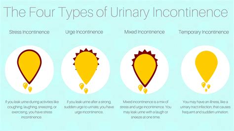 Thermiva For Incontinence Walnut Hill Thermiva For Incontinence Walnut Hill