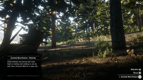 Tips And Tricks Red Dead Redemption 2 Guide Ign Tips And Tricks Red Dead Redemption 2 Guide Ign