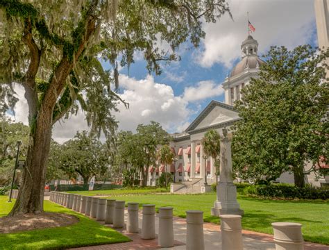 Top 10 Fun Ways To Spend Your Day In And Around Tallahassee During The Top 10 Fun Ways To Spend Your Day In And Around Tallahassee During The