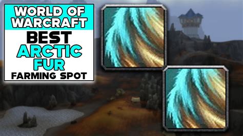 World Of Warcraft Best Arctic Fur Farming Spot Youtube World Of Warcraft Best Arctic Fur Farming Spot Youtube