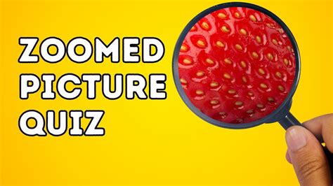 Zoomed Picture Quiz Zoomed In Picture Guessing Game Guess The Zoomed Picture Quiz Zoomed In Picture Guessing Game Guess The